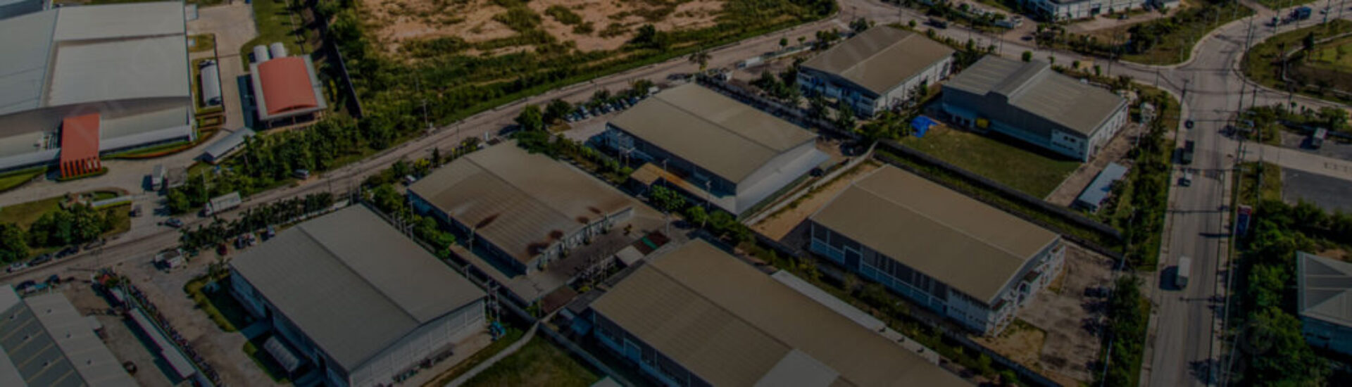 Global Vision, Local Strength